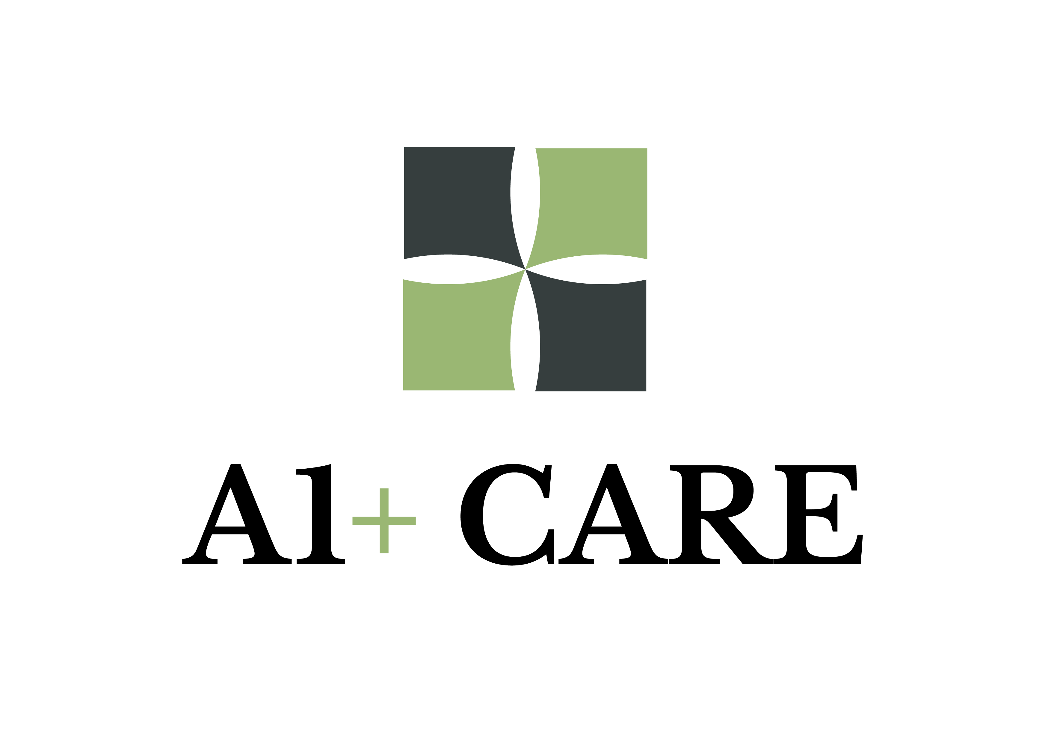A1+ Care LLC Logo
